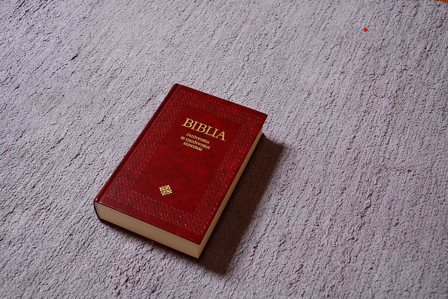 Red Biblia, bible, cement, christianity, text, communication HD wallpaper