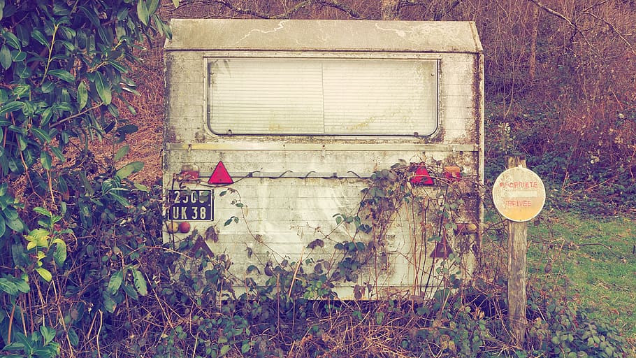 france, isere, plant, no people, abandoned, architecture, old HD wallpaper