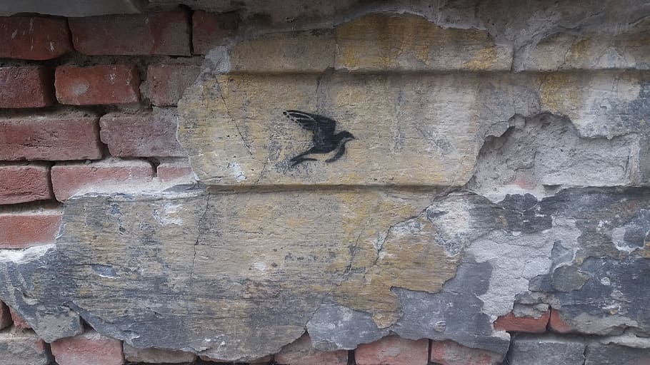 serbia, belgrade, wall - building feature, architecture, brick wall HD wallpaper