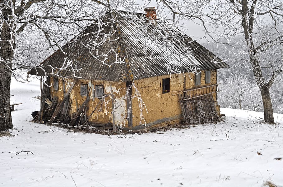 winter, snow, cold, house, frost, cold temperature, built structure HD wallpaper