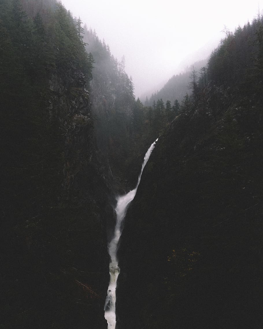 tree, beauty in nature, scenics - nature, plant, fog, no people HD wallpaper