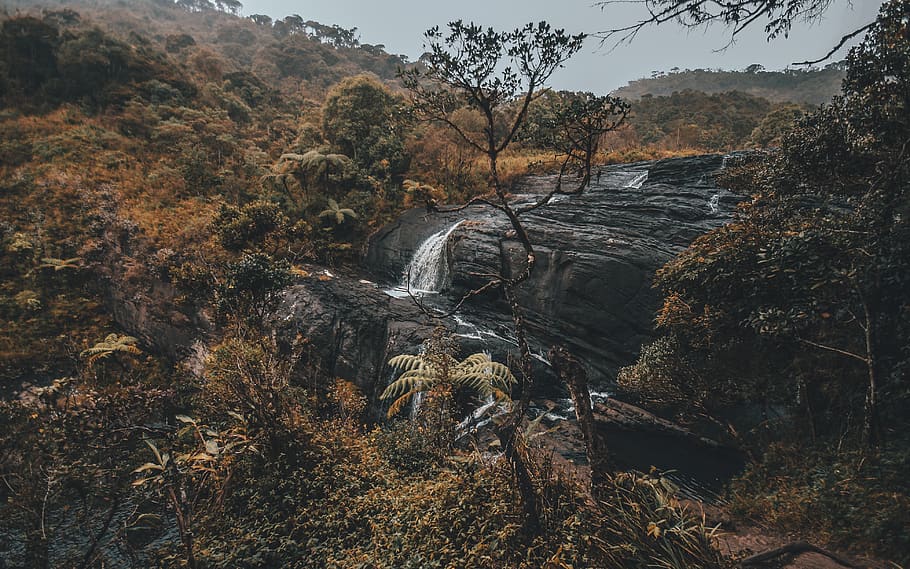 waterfalls raging, nature, outdoors, river, wilderness, scenery HD wallpaper