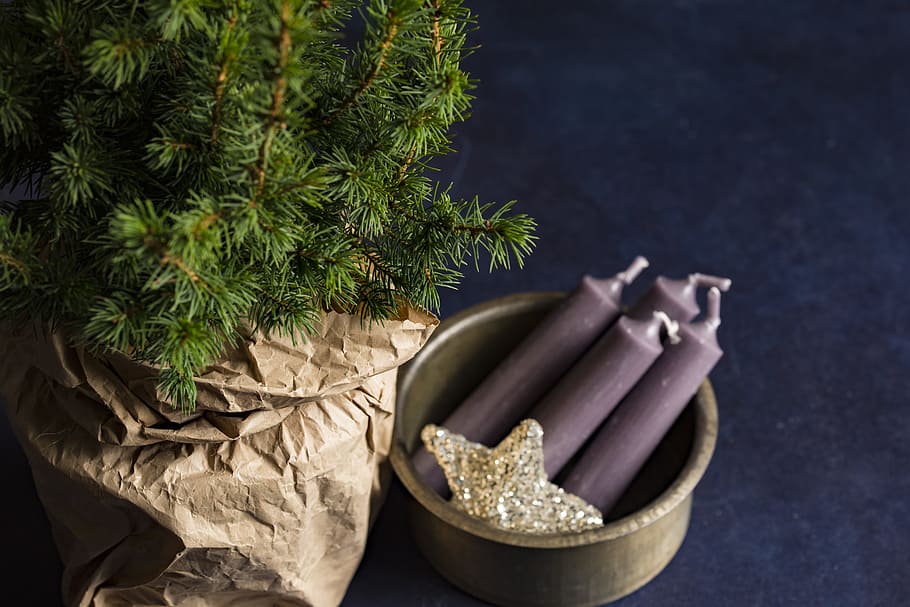 four purple taper candles, tree, christmas, festive, star, paper bag HD wallpaper