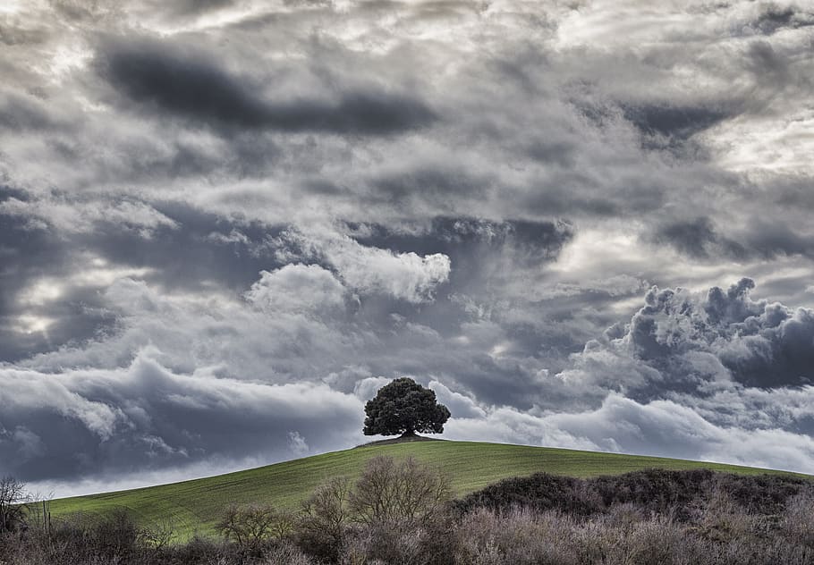 green tree under cloudy sky, outdoors, grassland, field, nature HD wallpaper