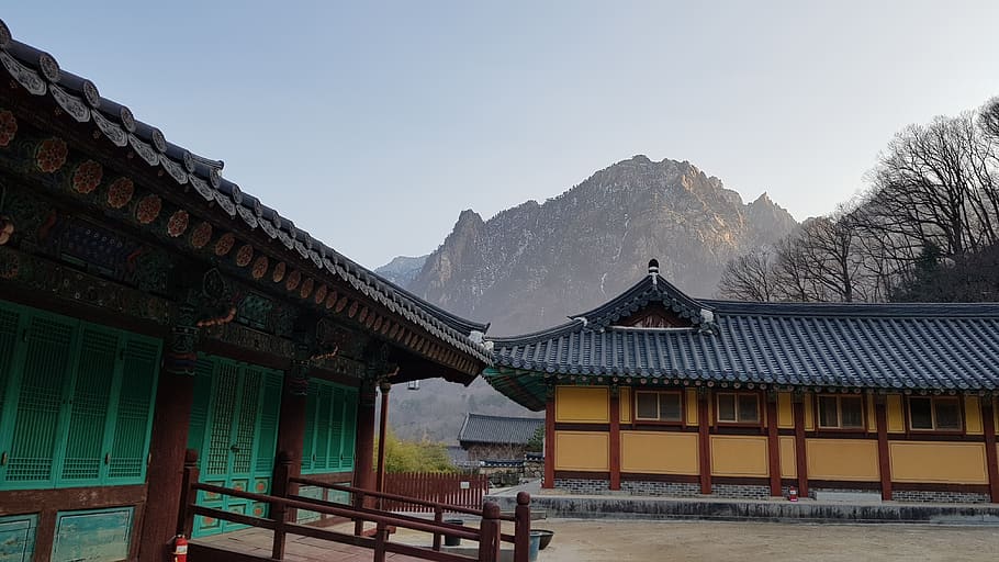 section, temple, buddhism, korea, republic of korea, tourism HD wallpaper