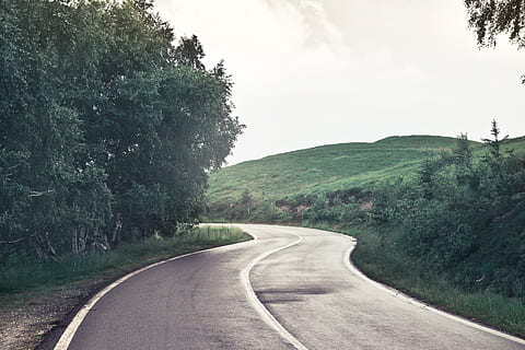 View Of Empty Road with trees around, direction, drive, way, highway HD wallpaper