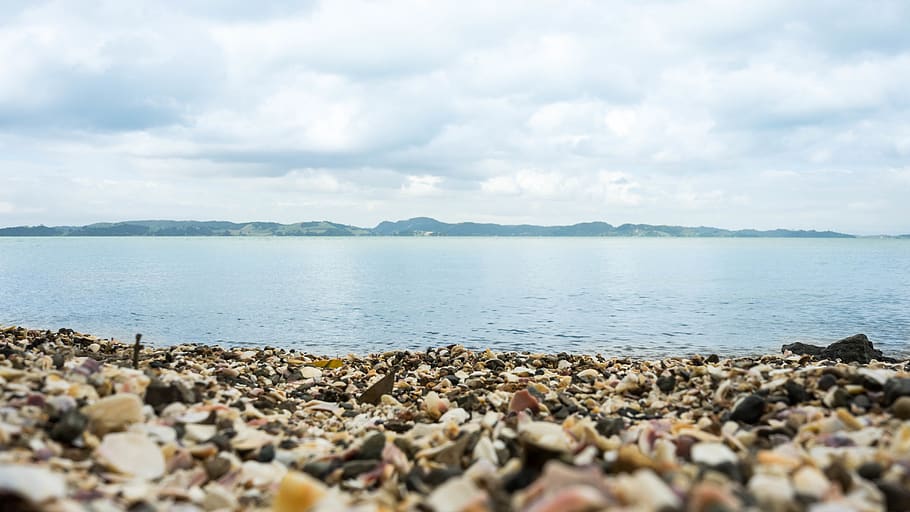 shells, beach, land, water, sky, cloud - sky, rock, sea, scenics - nature HD wallpaper