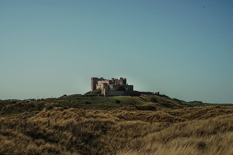 castle on hill, architecture, building, fort, outdoors, nature HD wallpaper