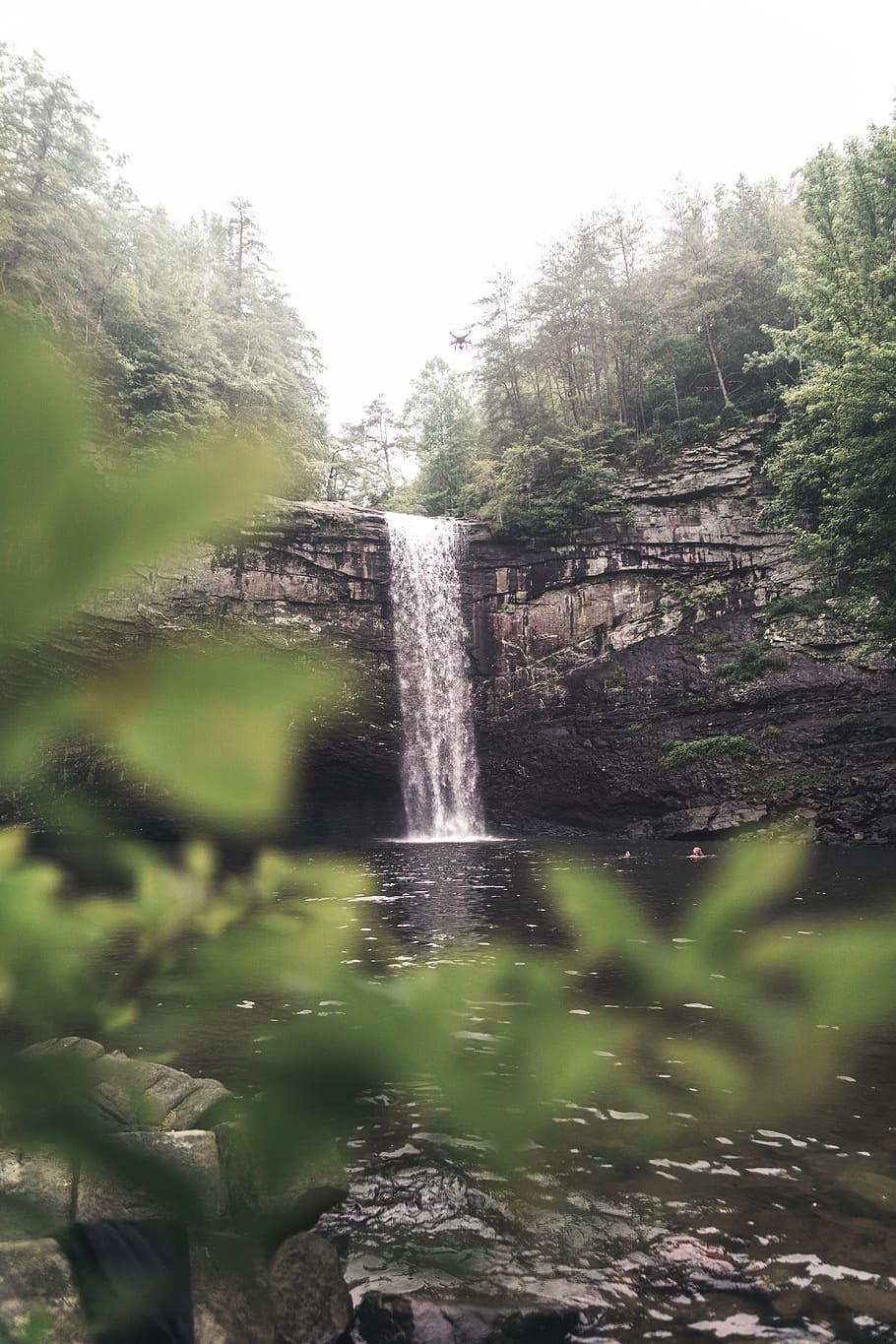 waterfalls surrounded by trees, nature, river, outdoors, landscape HD wallpaper
