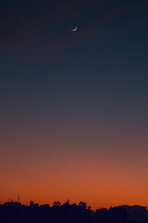 Silhouette Of Trees During Sunset, backlit, dark, dawn, evening HD wallpaper