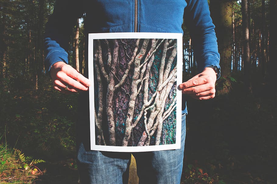 people, man, trees, woods, forest, picture, photograph, print HD wallpaper