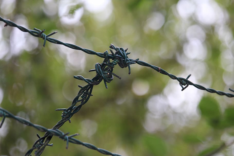 macro, wire, close up, barrier, fence, fenced, protection, the safety of the HD wallpaper