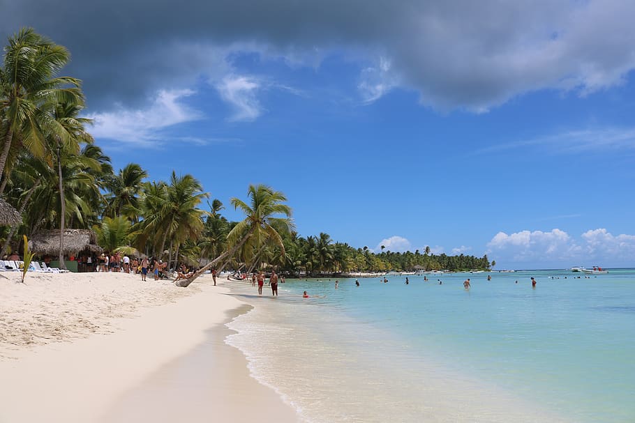 dominican republic, saona island, caribbean sea, punta cana, HD wallpaper