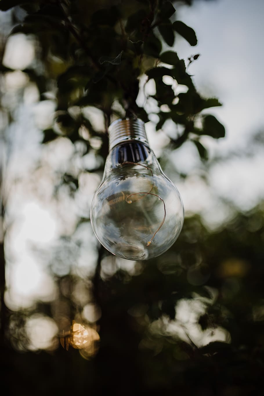 united kingdom, ely, lightbulb, dusk, evening, lighting, transparent HD wallpaper