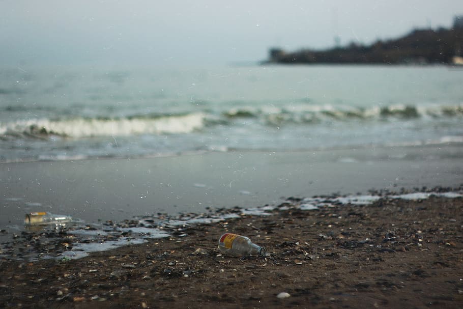 bottle, sea, beach, water, land, bird, nature, animal themes HD wallpaper