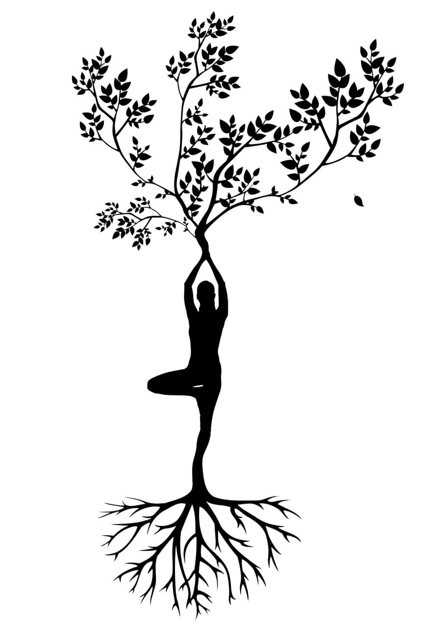 Illustration of yoga and organic forms - tree and roots, strength with rooted yoga pose