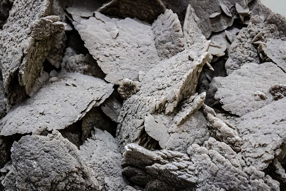 soil, rubble, archaeology, slate, rock, flagstone, fossil, animal HD wallpaper