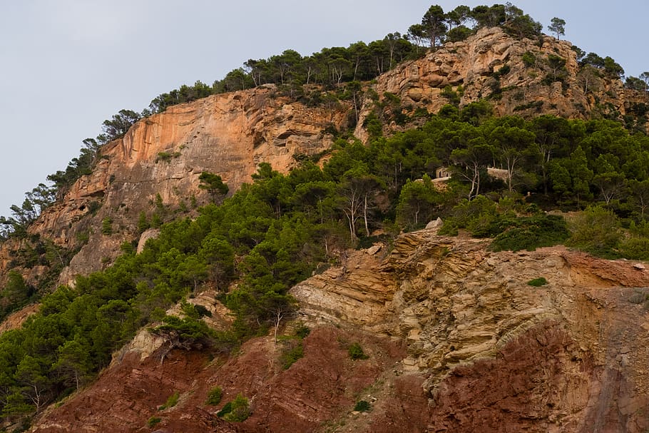 majorca, roche, nature, landscape, tree, spain, mountain, plant HD wallpaper