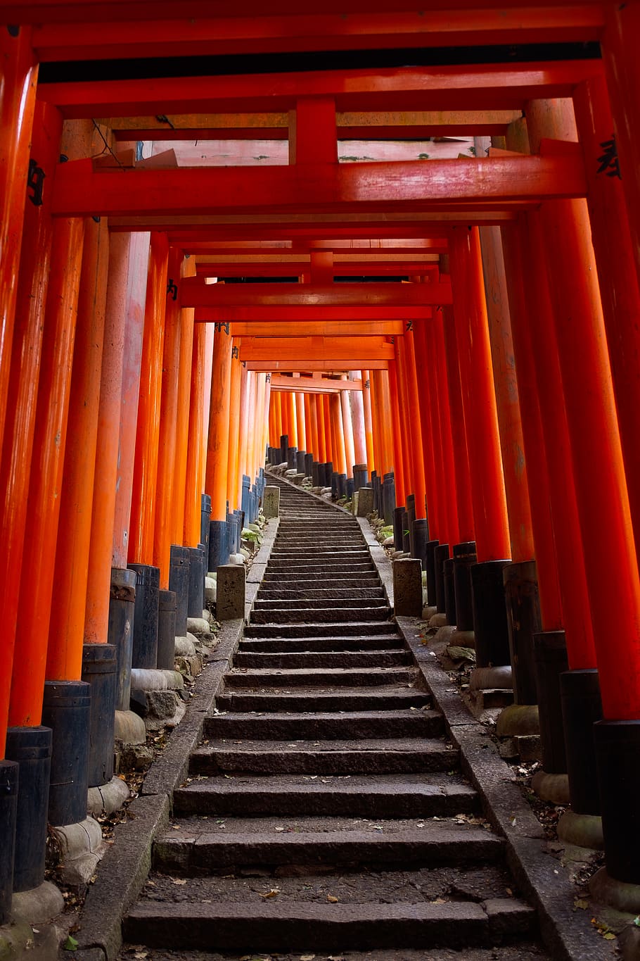 japan, kyōto-shi, fushimi inari taisha, temple, kyoto, torii