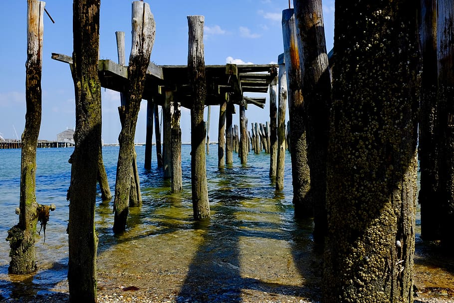 water, nature, pier, built structure, architecture, wood - material HD wallpaper
