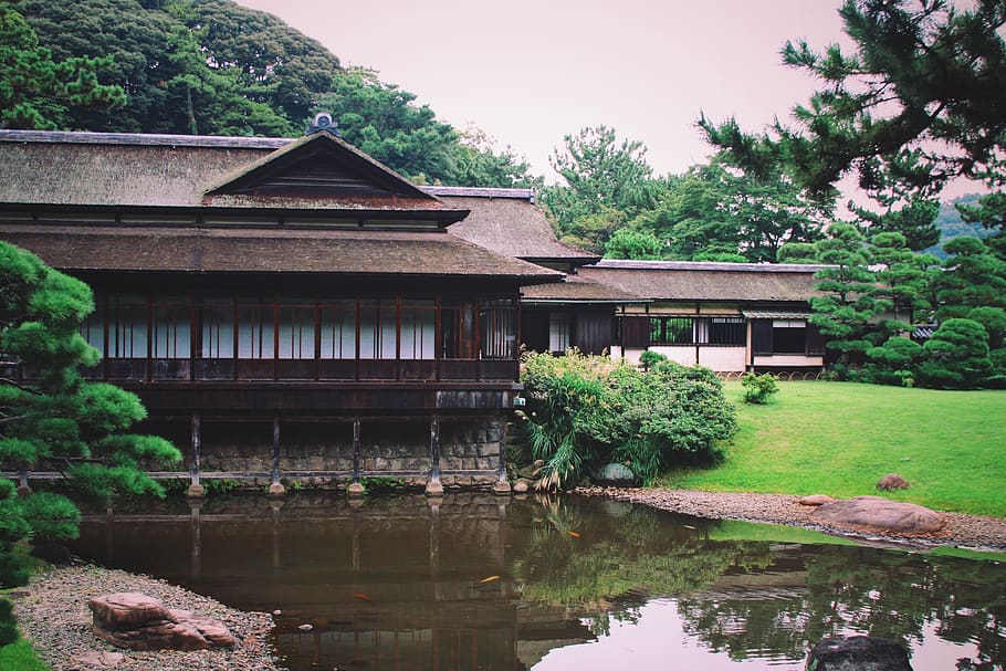 garden, house, japan, japanese garden, water, built structure, HD wallpaper