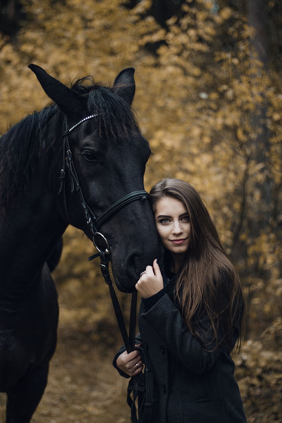HD wallpaper: woman standing beside black horse during daytime, female, pet  | Wallpaper Flare