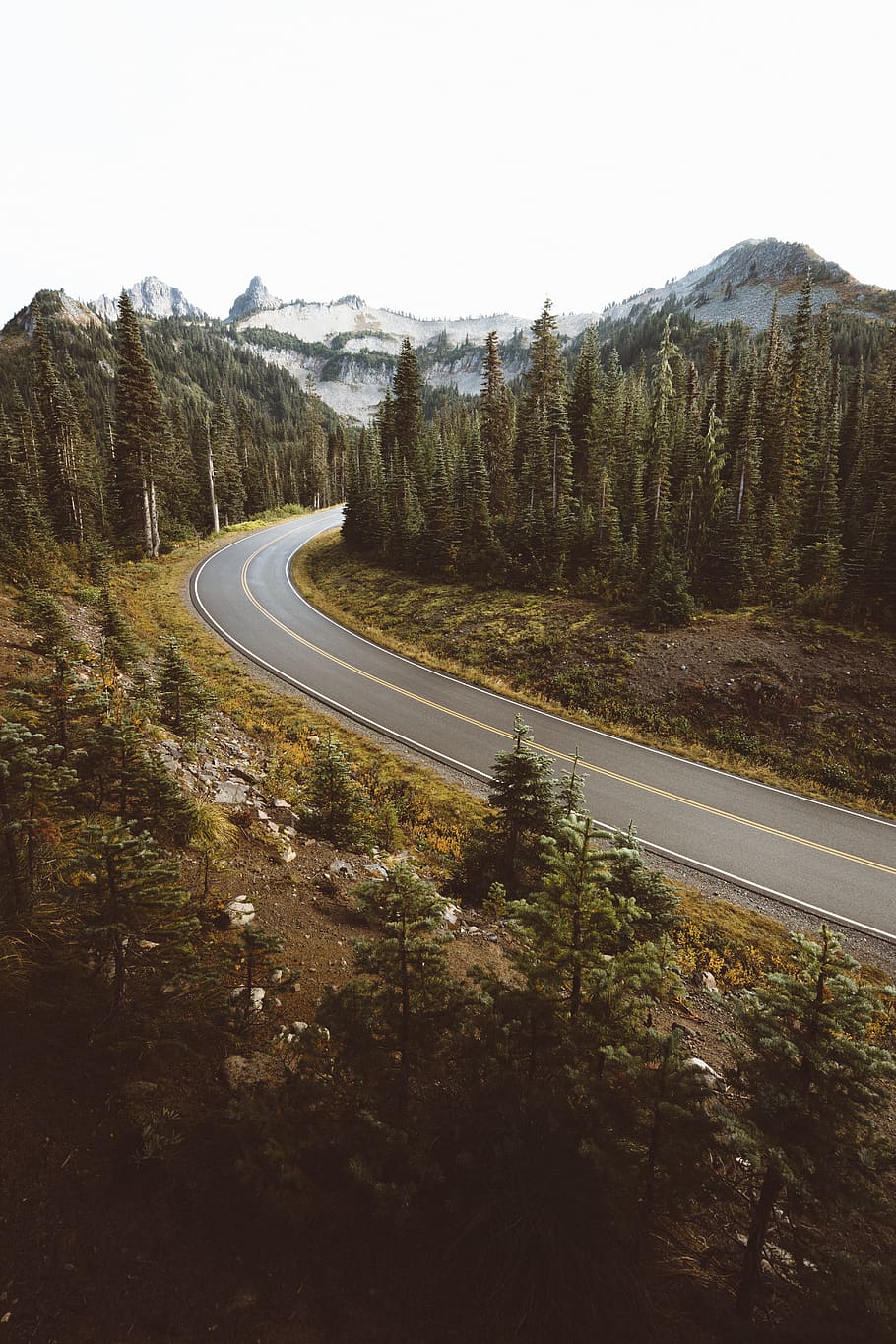 trees, plant, nature, path, road, forest, aerial, view, mountain HD wallpaper