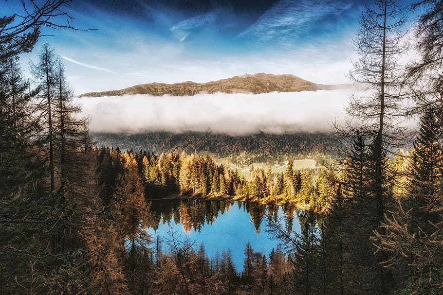 Pine Trees Beside Body of Water Near Mountain Under White Clouds HD wallpaper
