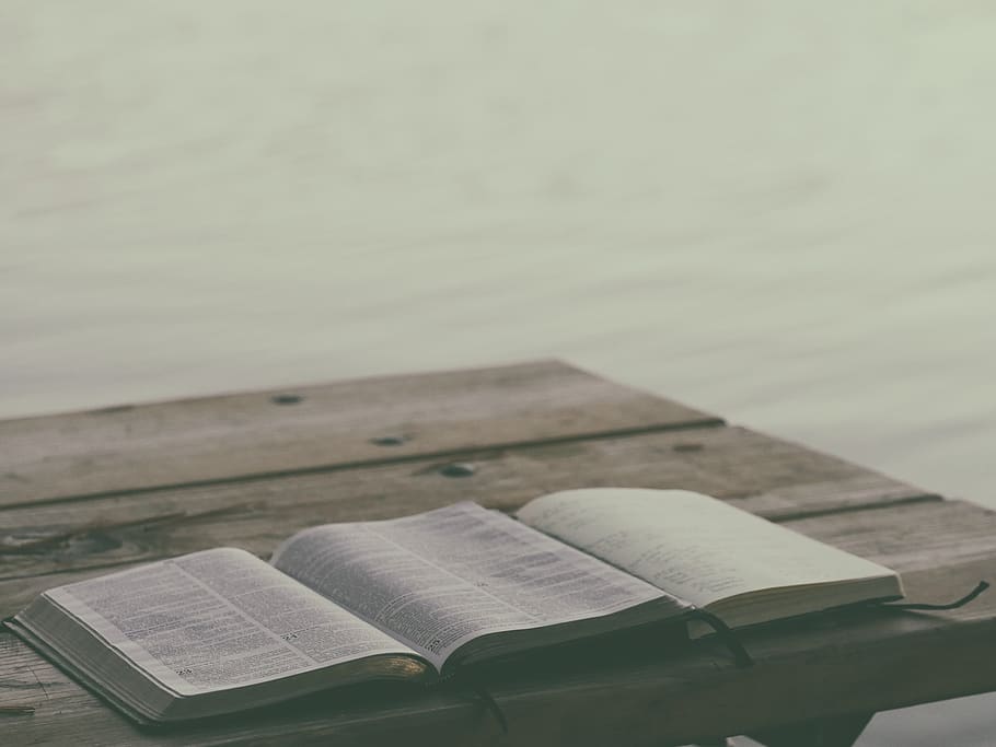 book, bible, reading, table, publication, education, no people HD wallpaper