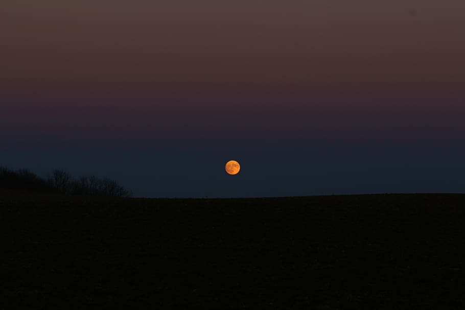 supermoon, night sky, beauty in nature, scenics - nature, tranquil scene HD wallpaper