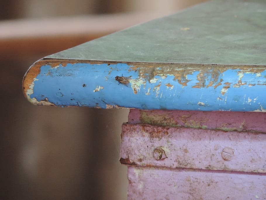 closeup, explore, bug, close-up, old, rusty, no people, metal HD wallpaper