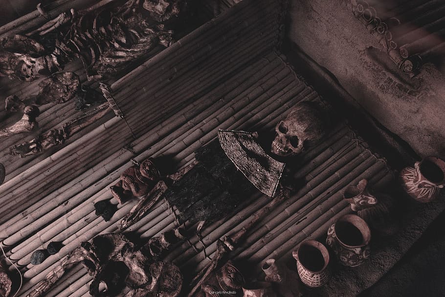 human skeleton decor, no people, high angle view, wood - material HD wallpaper