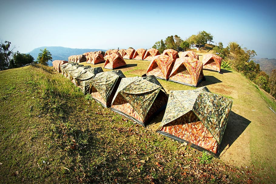 Tents on Ground, blue sky, camp, camping, environment, foliage HD wallpaper