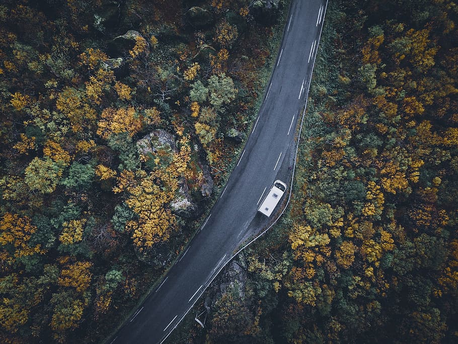 aerial photography of road during daytime, tree, forest, van HD wallpaper