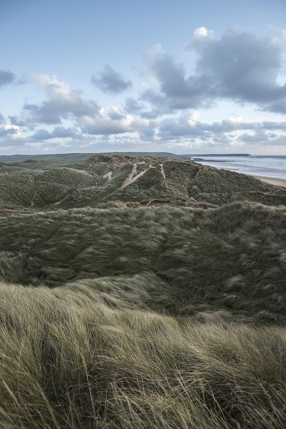 grass, dune, beach, landscape, cloud - sky, environment, tranquil scene HD wallpaper