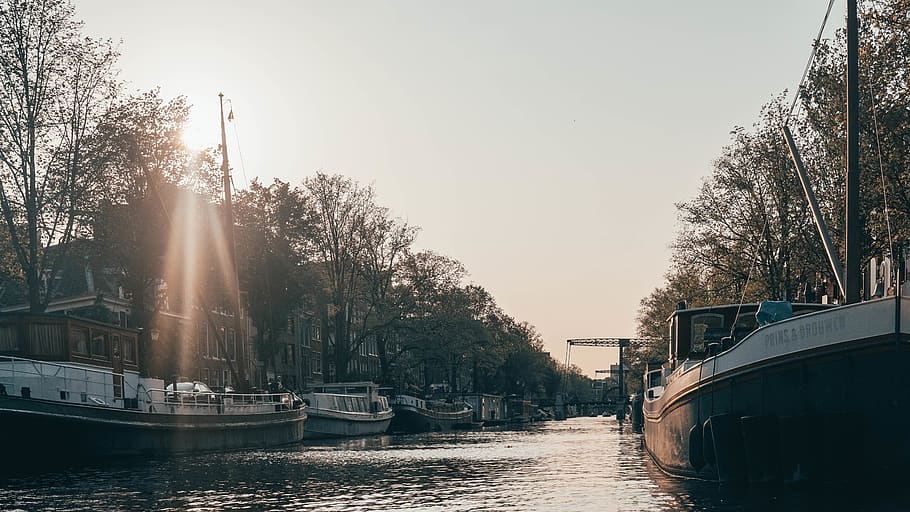 amsterdam, netherlands, river, trees, sunset, sony camera, sonya6000 HD wallpaper