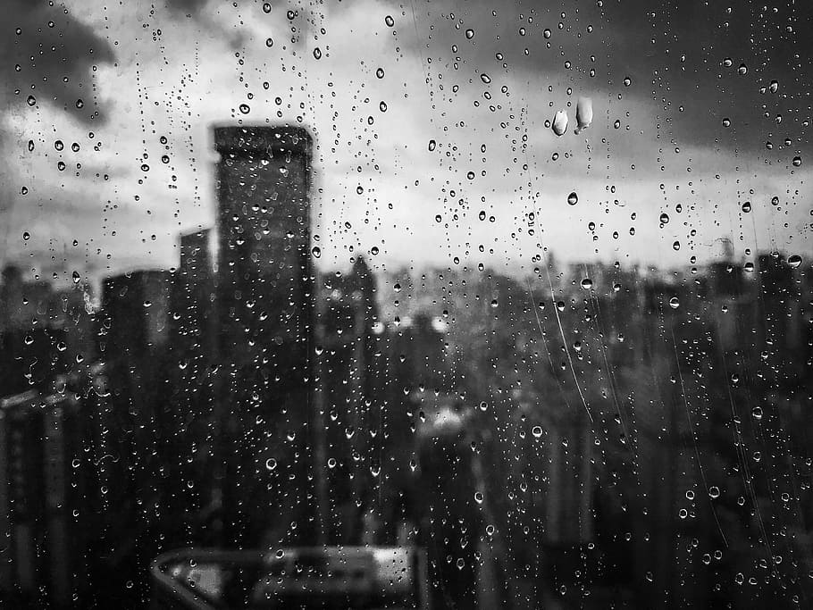 drop, wet, rain, transparent, window, glass - material, water HD wallpaper