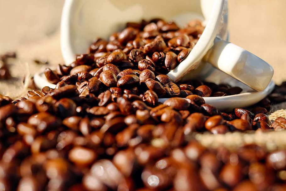 Shallow Focus of Coffee Beans on White Ceramic Cup, caffeine HD wallpaper