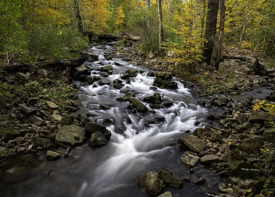 stream, creek, brook, forest, autumn, leaves, foilage, colorful HD wallpaper