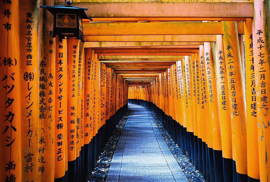 yellow and and black wooden hallway, fushimi inari, torii, temple