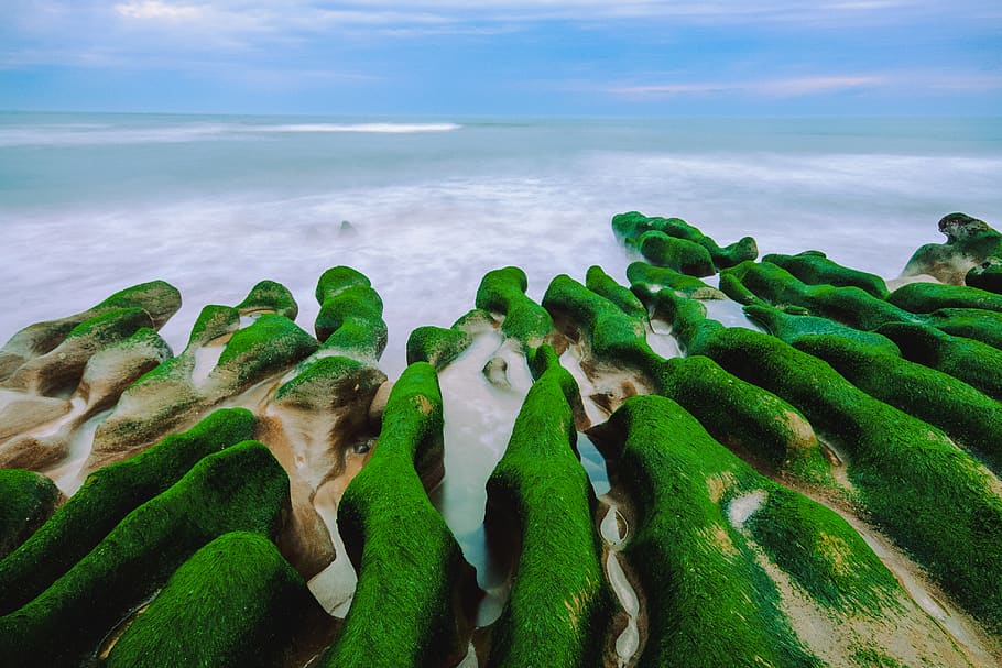 Green Rock Formation on Body of Water, beach, coast, daylight HD wallpaper
