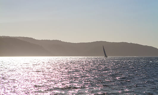 australia, pittwater, boat, boating, sailing boat, nature, landscape HD wallpaper