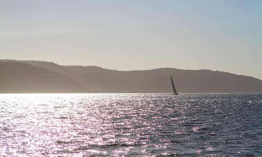 australia, pittwater, boat, boating, sailing boat, nature, landscape HD wallpaper