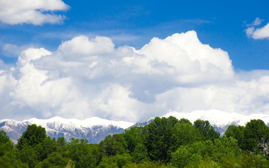 china, qinghai, cloud, mountain, tree, cloud - sky, plant, beauty in nature HD wallpaper