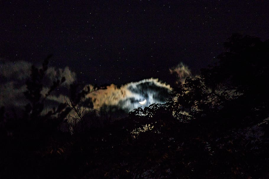 japan, yakushima, night, sky, no people, beauty in nature, star - space