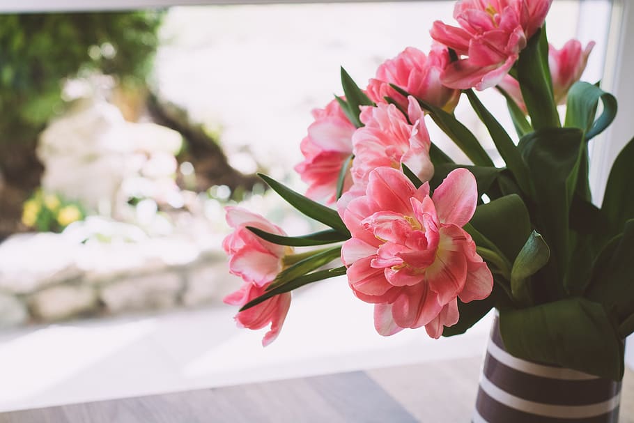 HD wallpaper: flowers, bouquet, tulips, window, vase, flower vase, deco,  spring flowers | Wallpaper Flare
