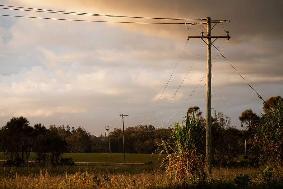 sunset, clouds, powerlines, sky, cable, plant, cloud - sky HD wallpaper