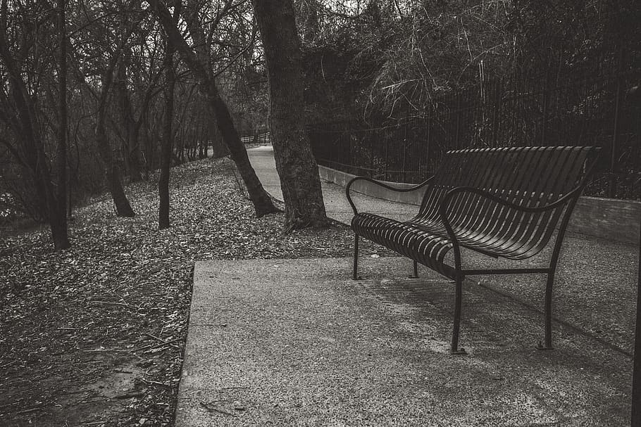 furniture, bench, chair, united states, bastrop, fisherman's park, HD wallpaper