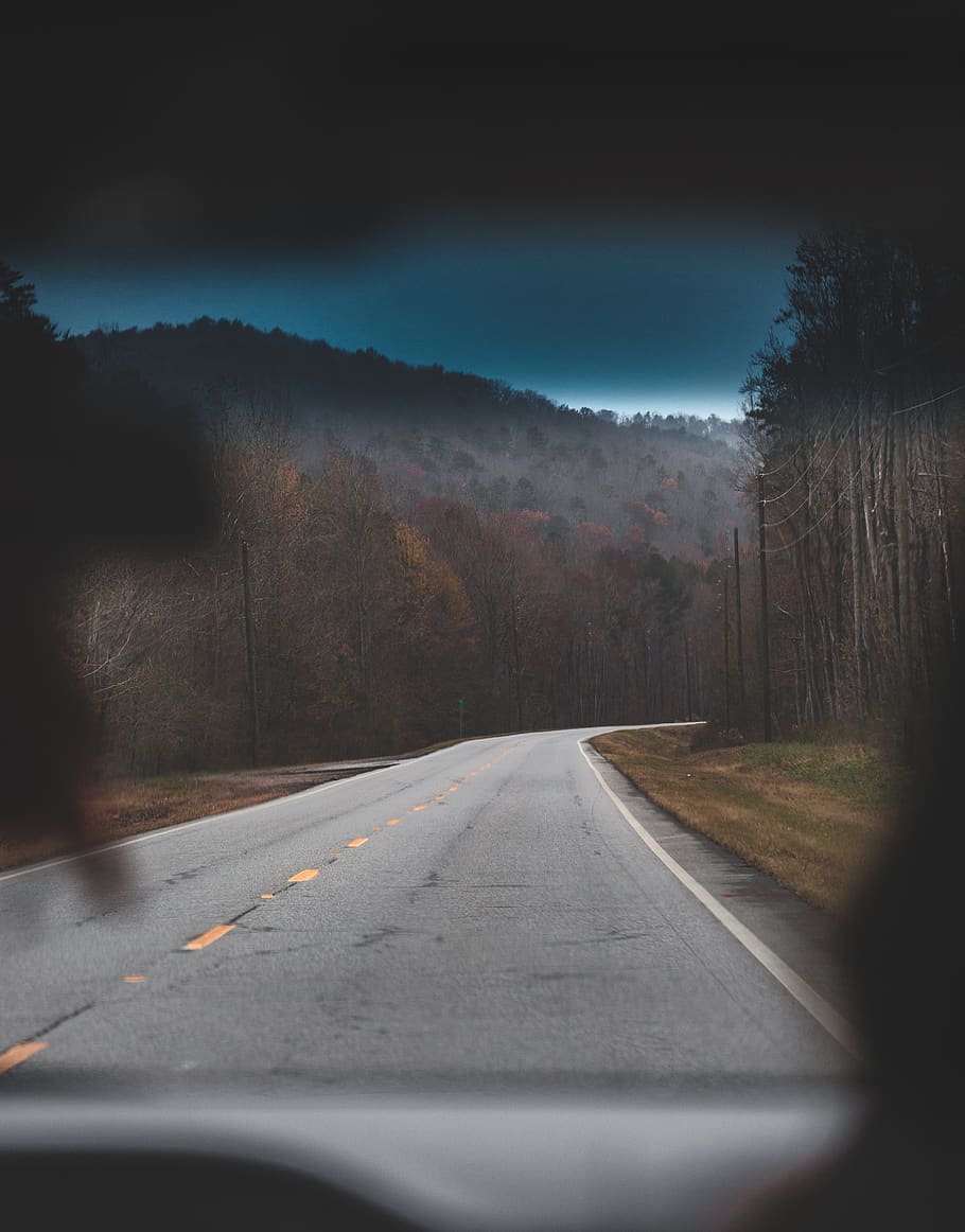 empty gray road near trees, transportation, the way forward, direction HD wallpaper
