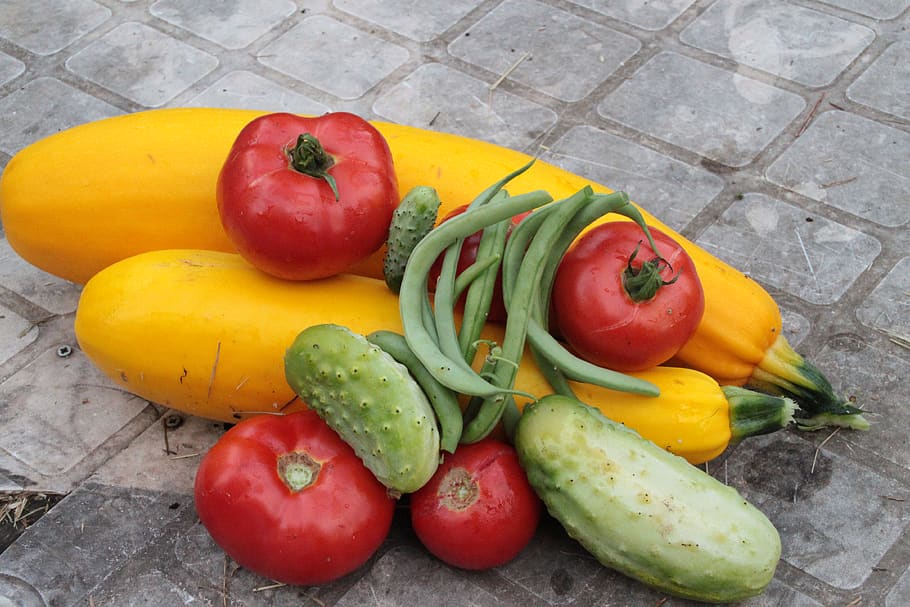 haricot, cornichon, haricots, courgette, tomates, food, food and drink HD wallpaper